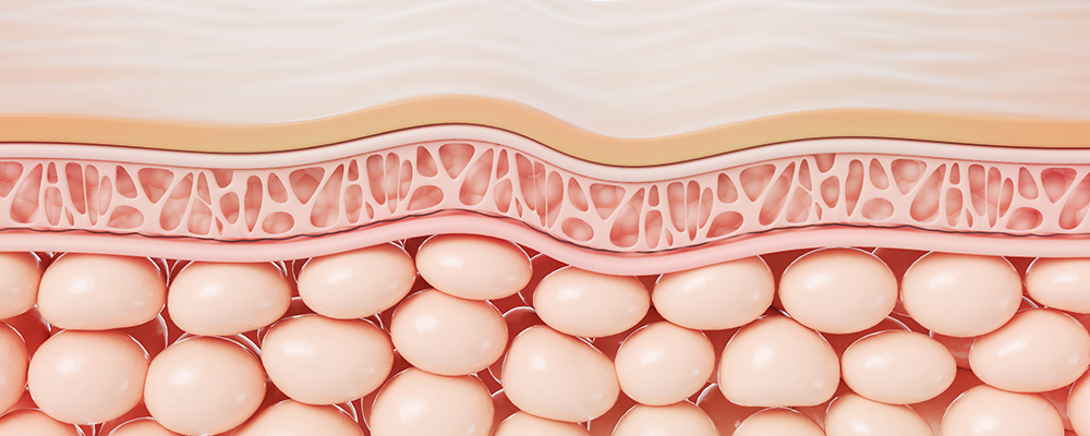 Dermatologie